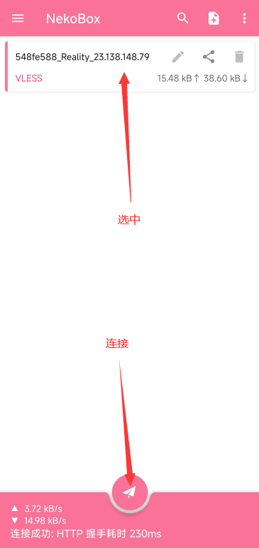 NekoBox 连接成功界面示意图